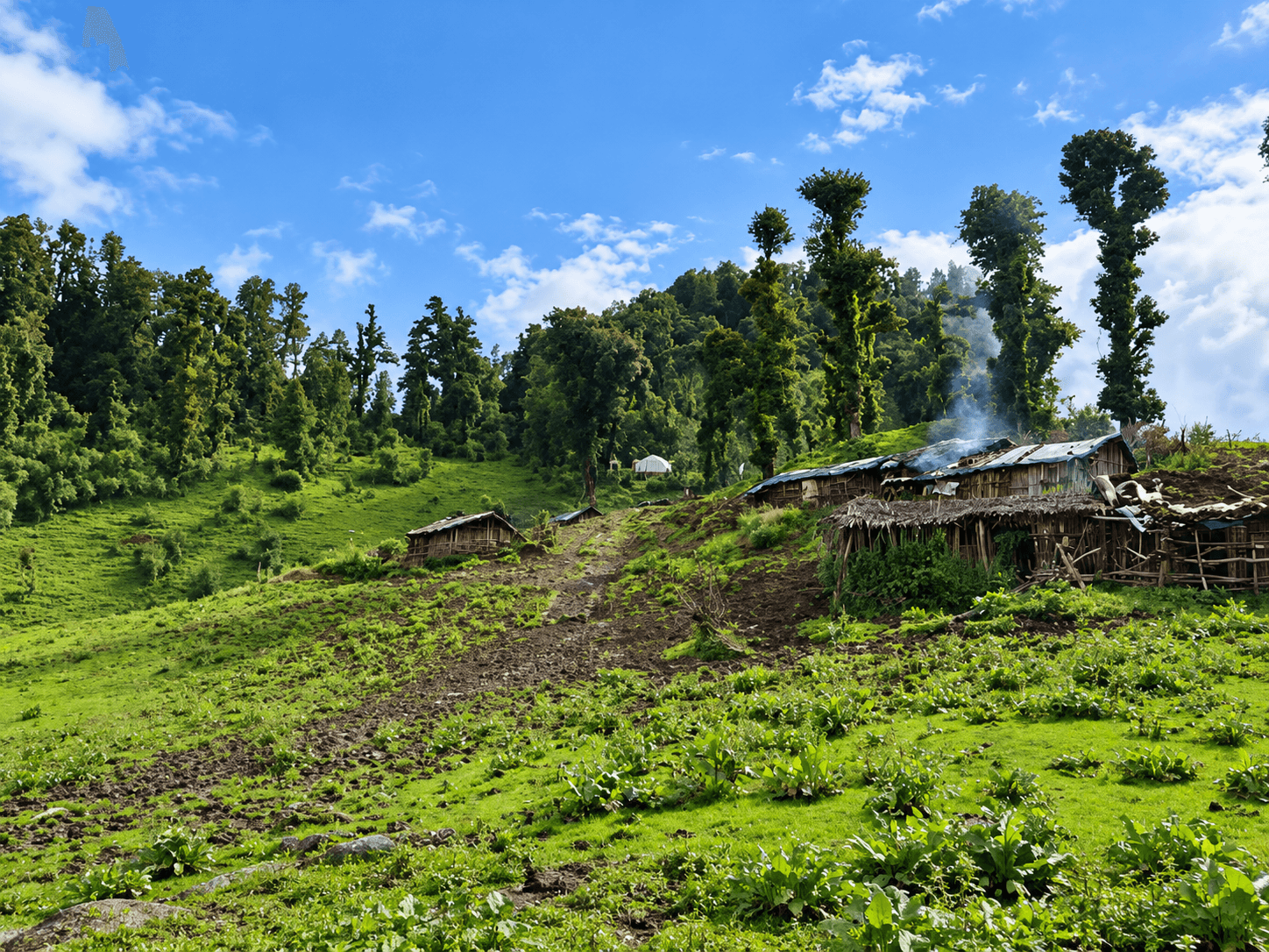 Icche Gaon